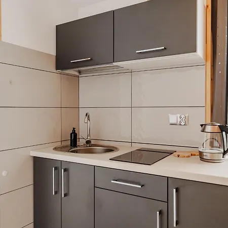 Apartamenty U Joli Bukowina Tatrzanska Exterior photo